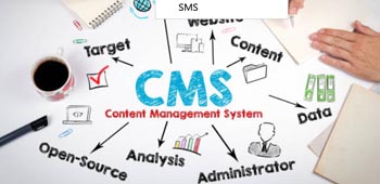 コンテンツ管理システム（CMS）開発